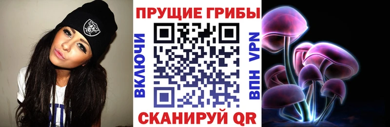 Псилоцибиновые грибы прущие грибы  Бронницы 